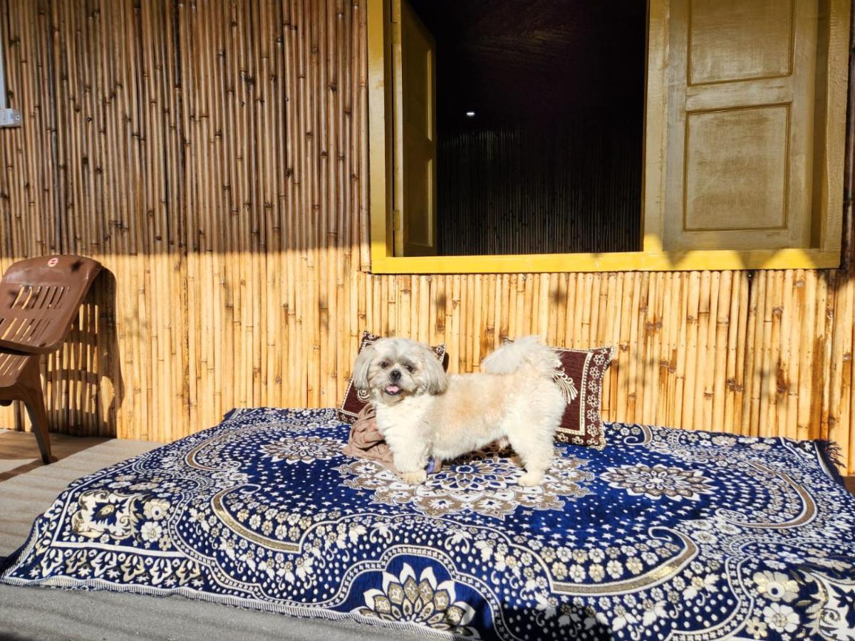 Pahaadi Dhun Homestay Chamba  Ngoại thất bức ảnh